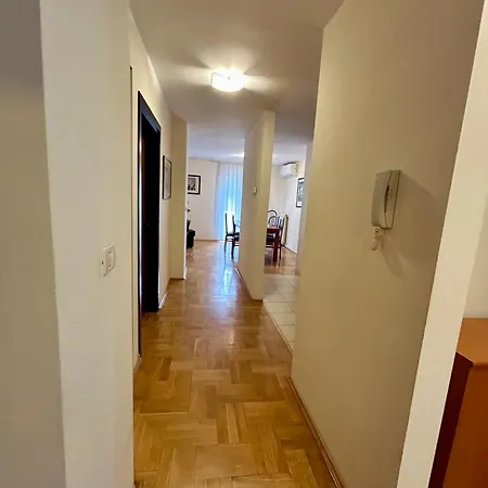 Sfinga Verudela - M *