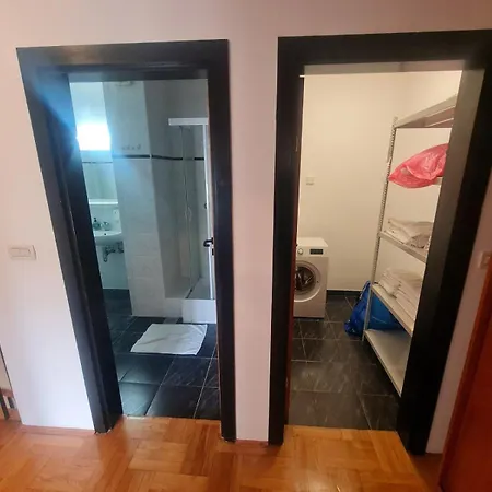 Sfinga Verudela - M *