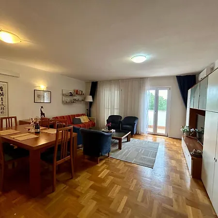 Sfinga Verudela - M *