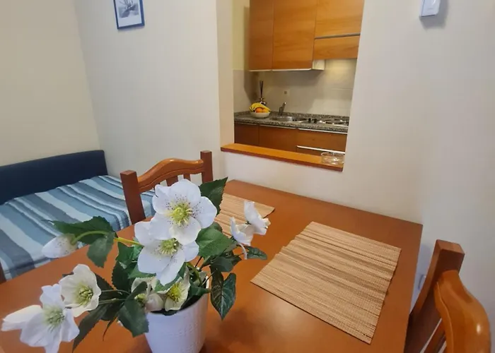 Sfinga Verudela - M * Pula