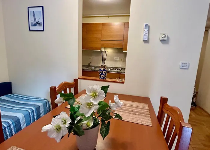 Sfinga Verudela - M * Pula