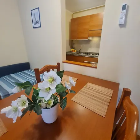 Sfinga Verudela - M * Pula