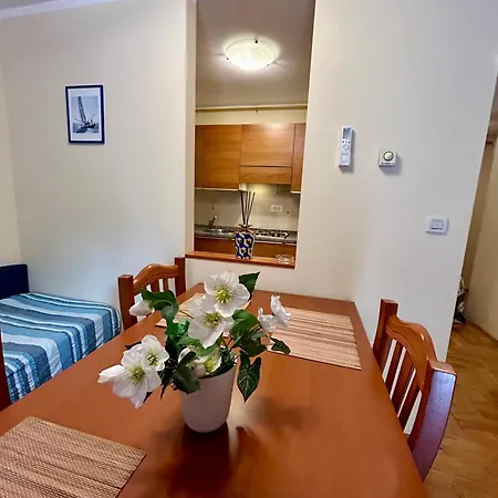 Sfinga Verudela - M * Pula